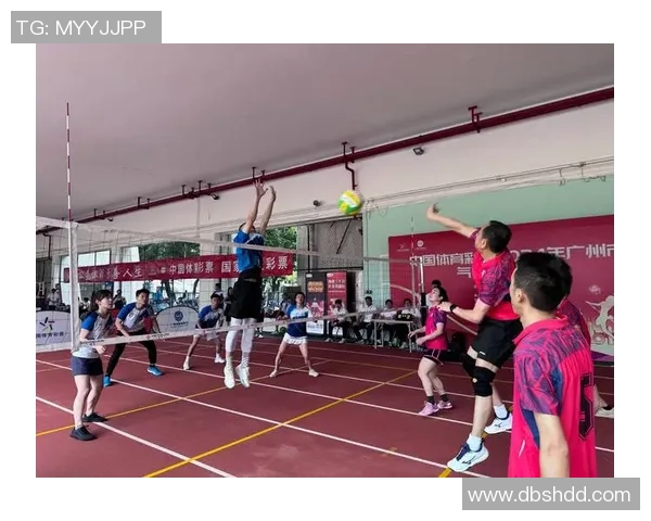 广州排球队的阵地战策略与技战术深度解析