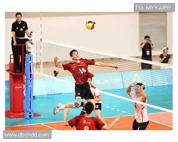 上海篮球队的团队协作之道：如何在赛场上实现默契配合与战术执行